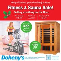DOHENYS LLC - Ad from 2024-12-21